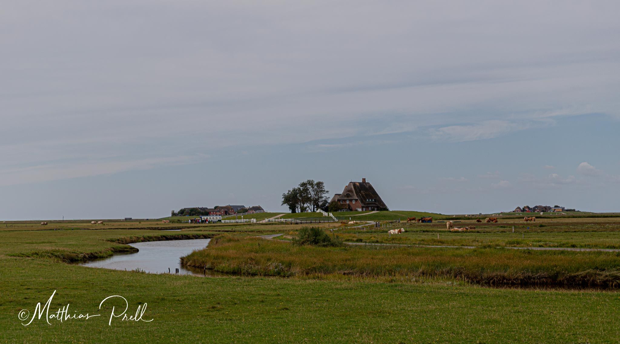 Blick zur Kirchwarft auf Hallig Hooge, Germany
