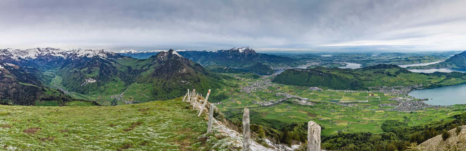Buochserhorn