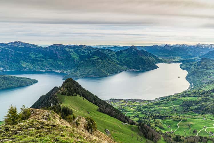 Buochserhorn