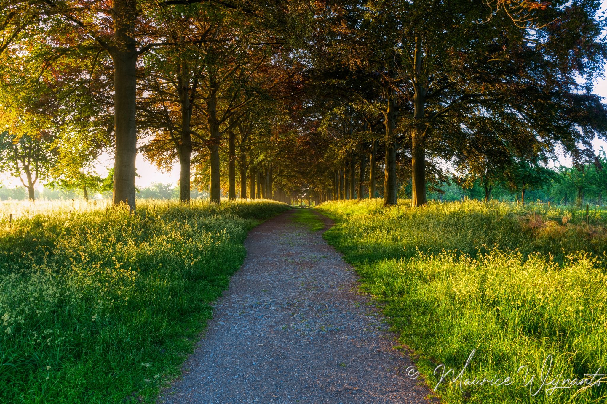 Castle path Eijsden, Netherlands