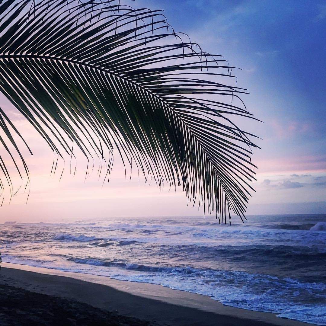 Cayena, Colombia