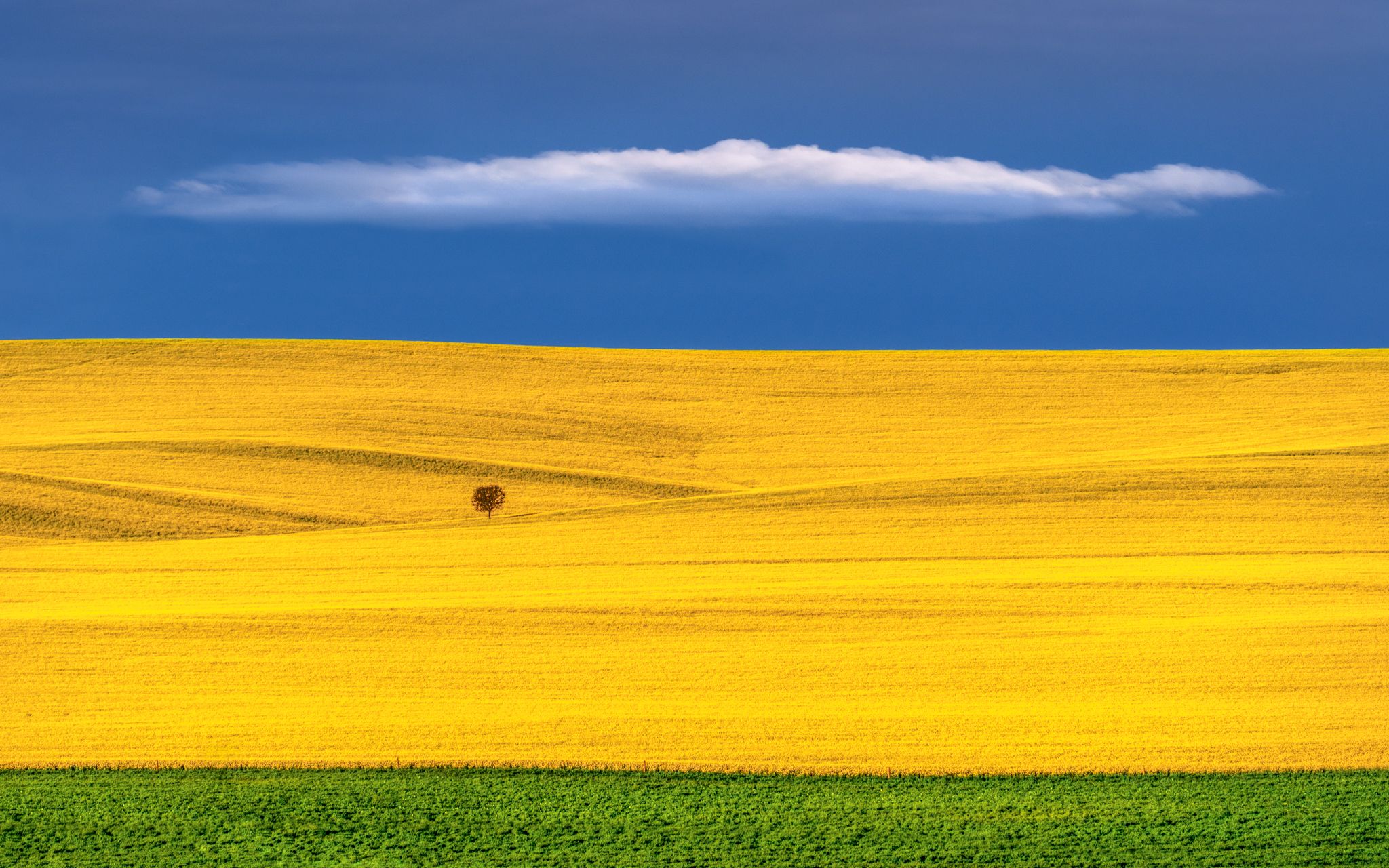 Crop lands, Australia