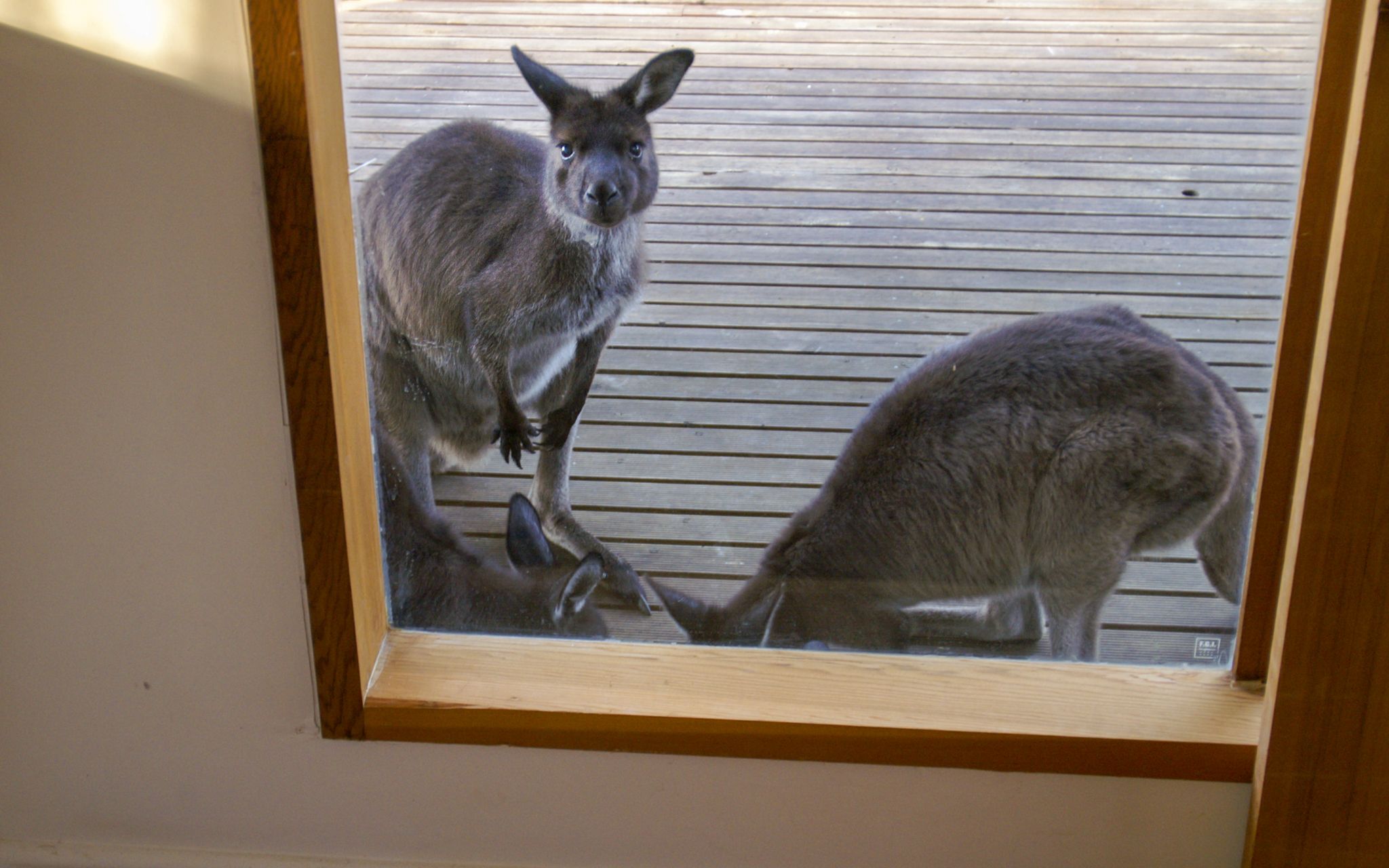 De Mole River Retreat, Australia