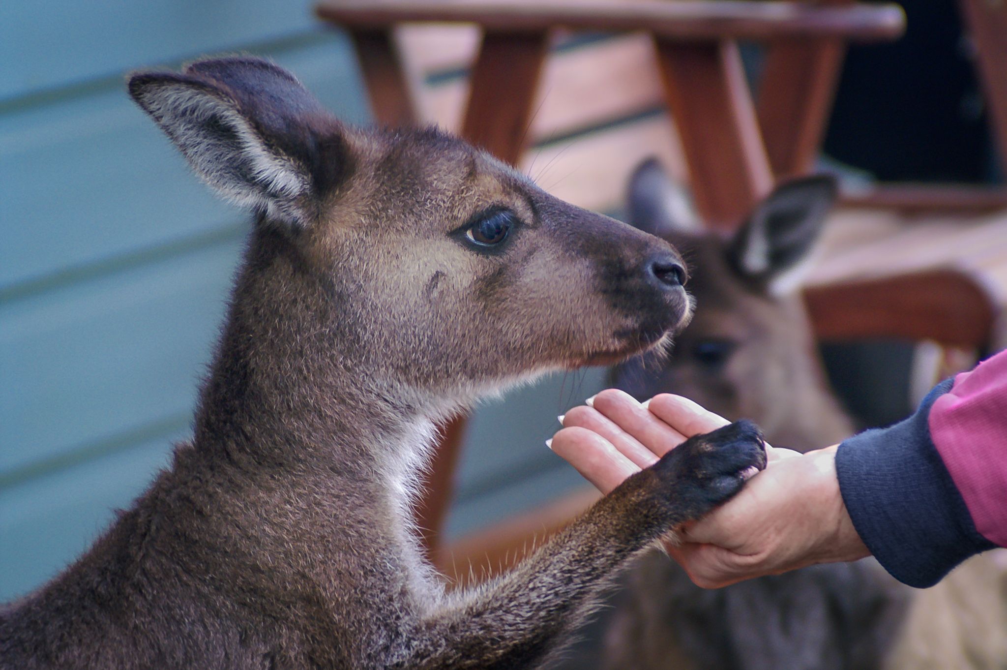 De Mole River Retreat, Australia