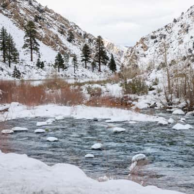 Eastern Sierra's by Bridgeport, USA