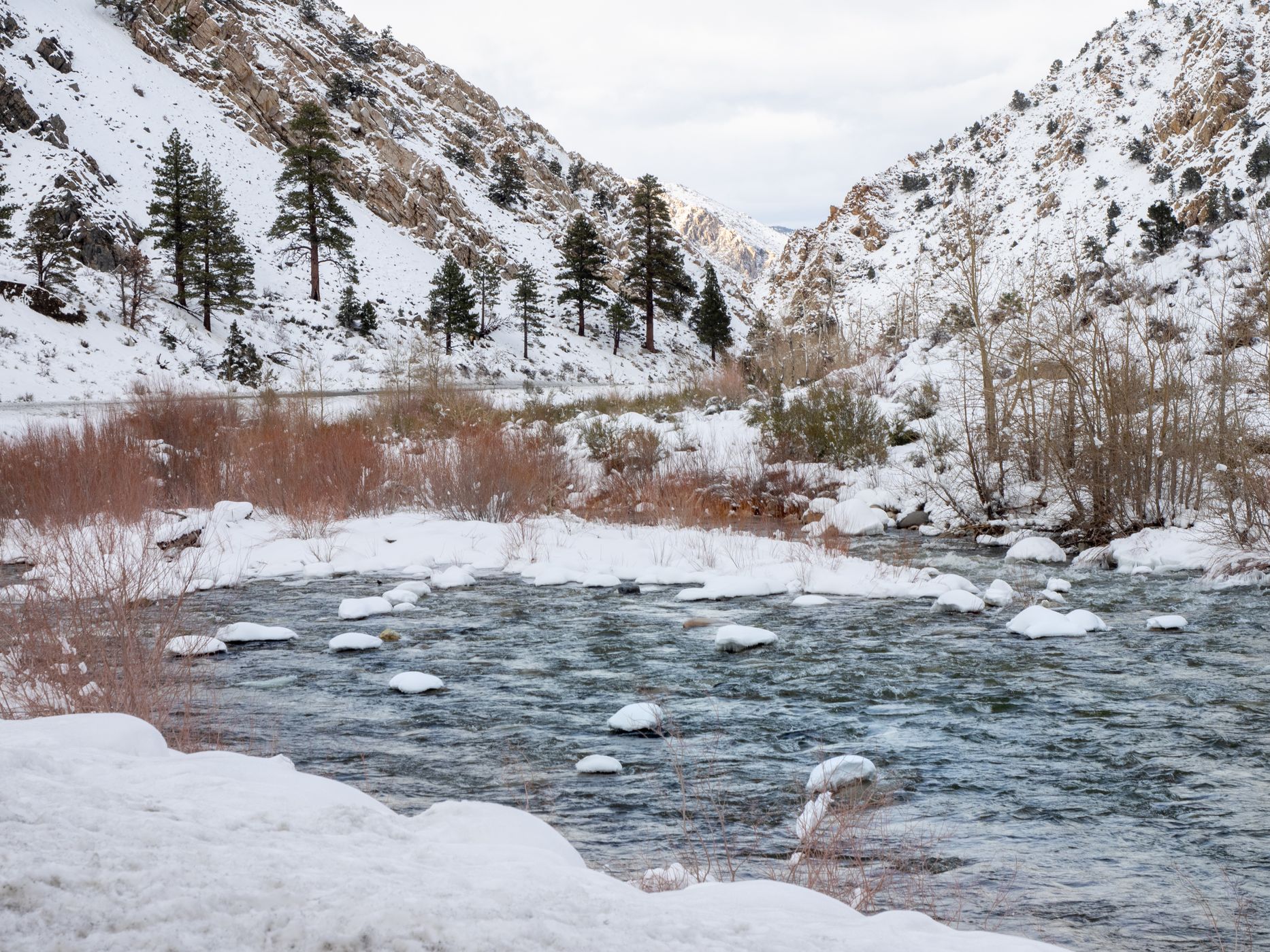 Eastern Sierra's by Bridgeport, USA