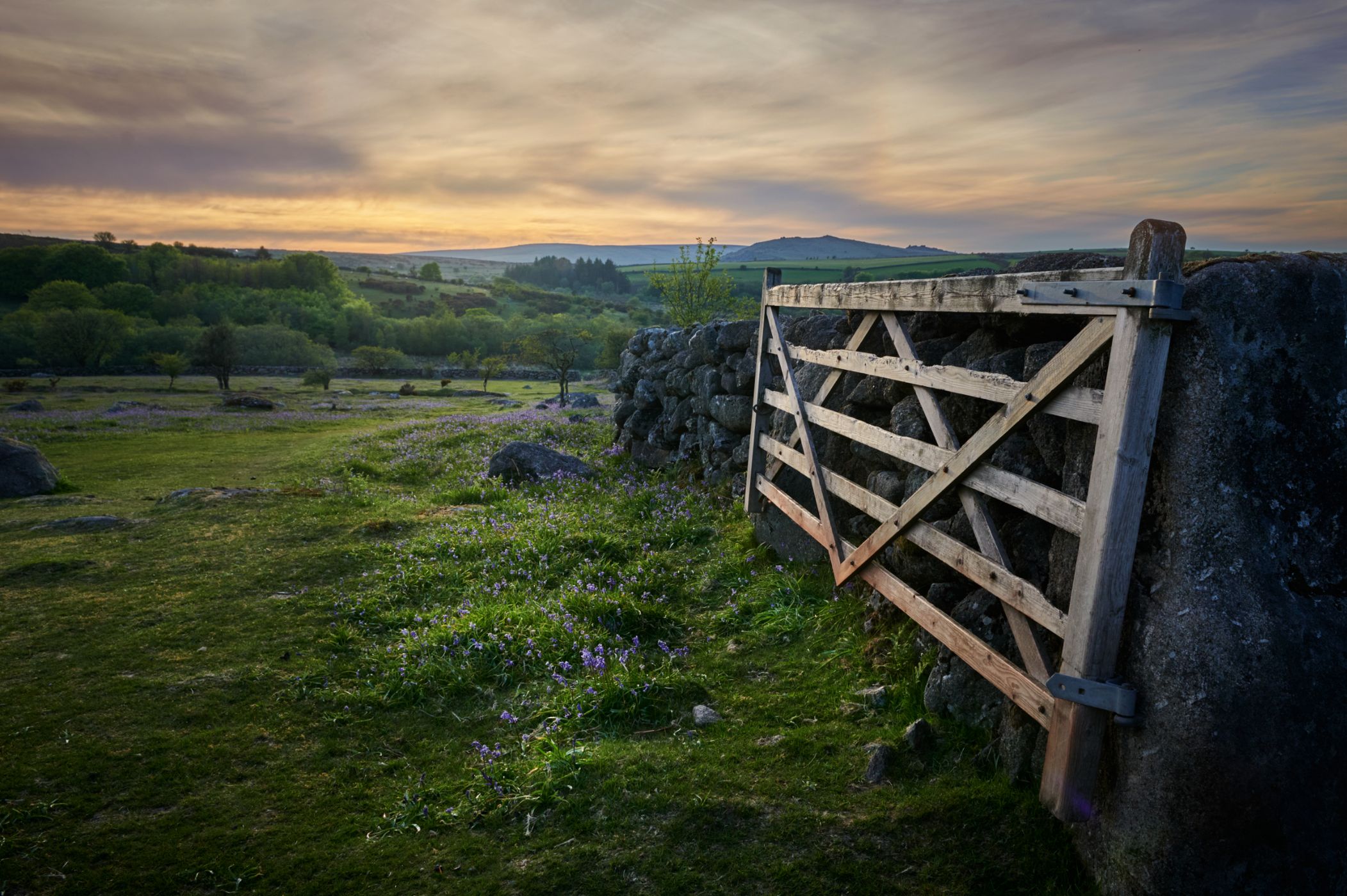 Emsworthy Nature Reserve, United Kingdom