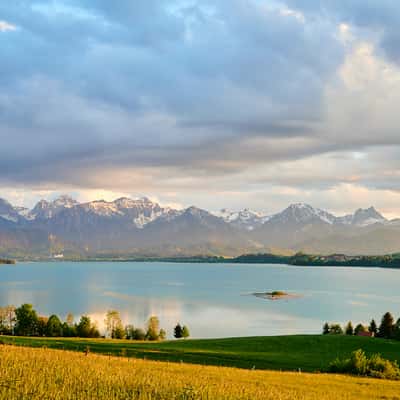 Forggense & view to the alps, Germany
