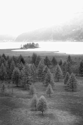 Lake sils