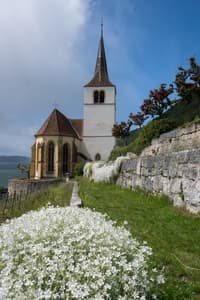 Ligerz church