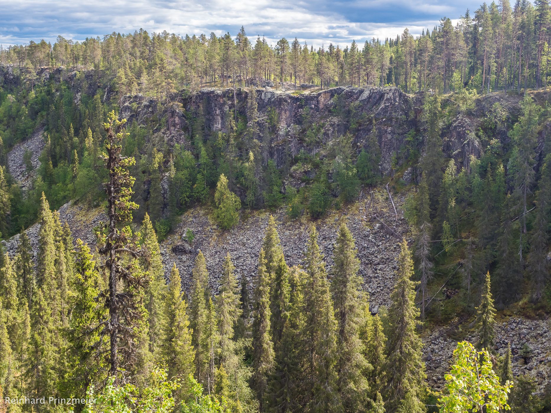 Masugnsbyn Nature Reserve, Sweden