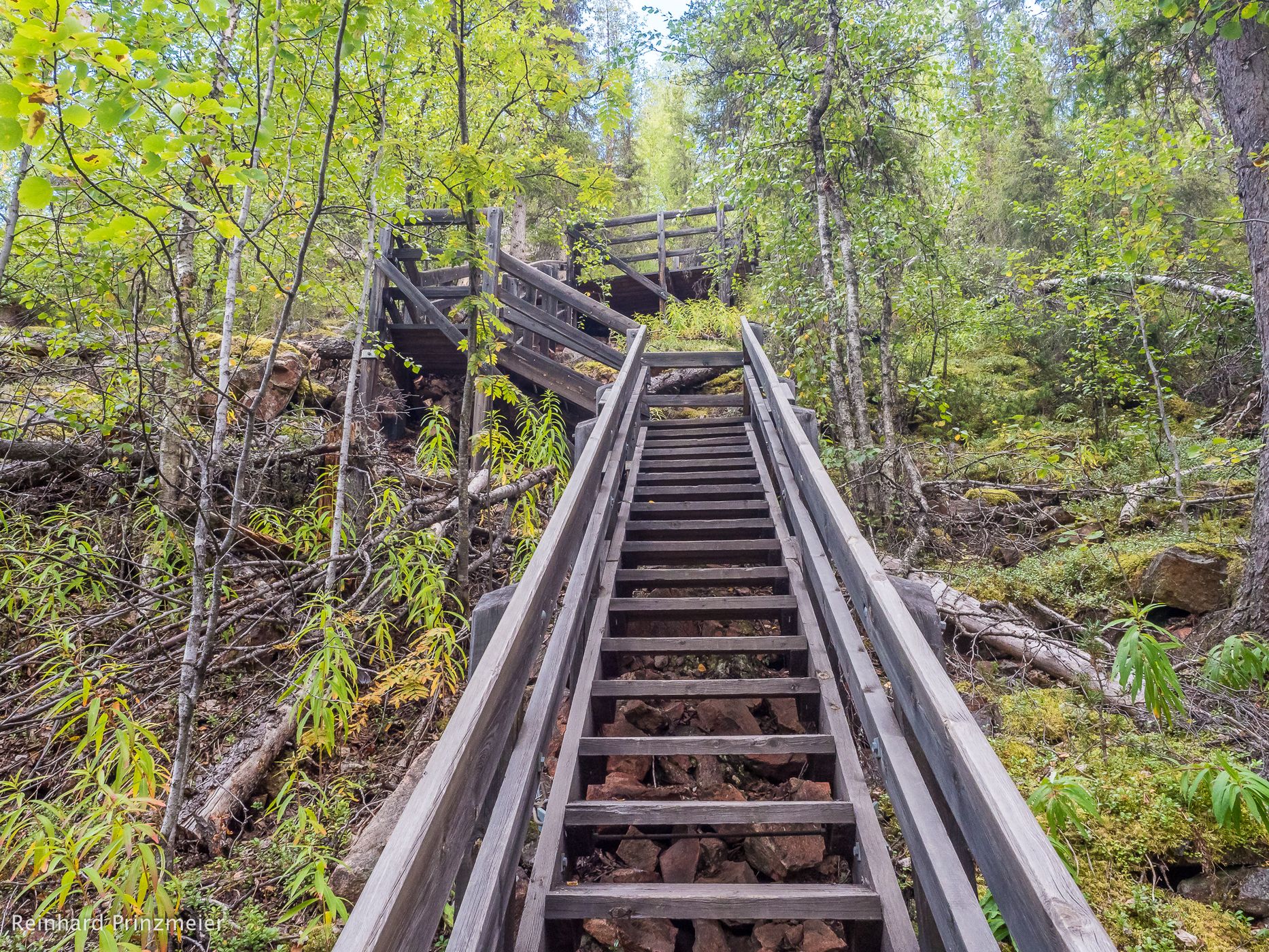 Masugnsbyn Nature Reserve, Sweden