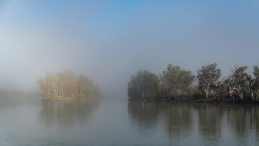 Morning Mist on Murray River