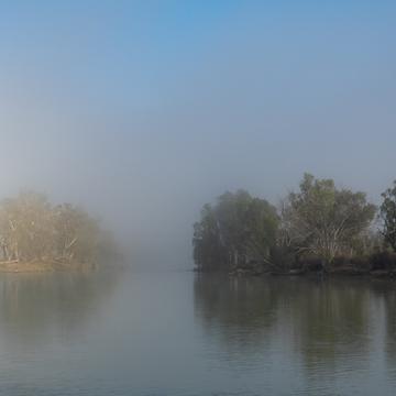 Morning Mist on Murray River, Australia