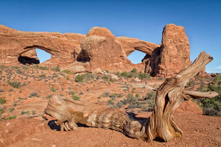 North and South Window Arch