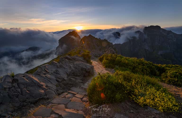 Pico do Arieiro