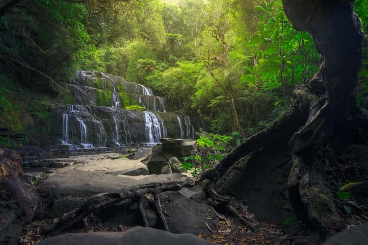 Purakaunui Falls, Southland Region