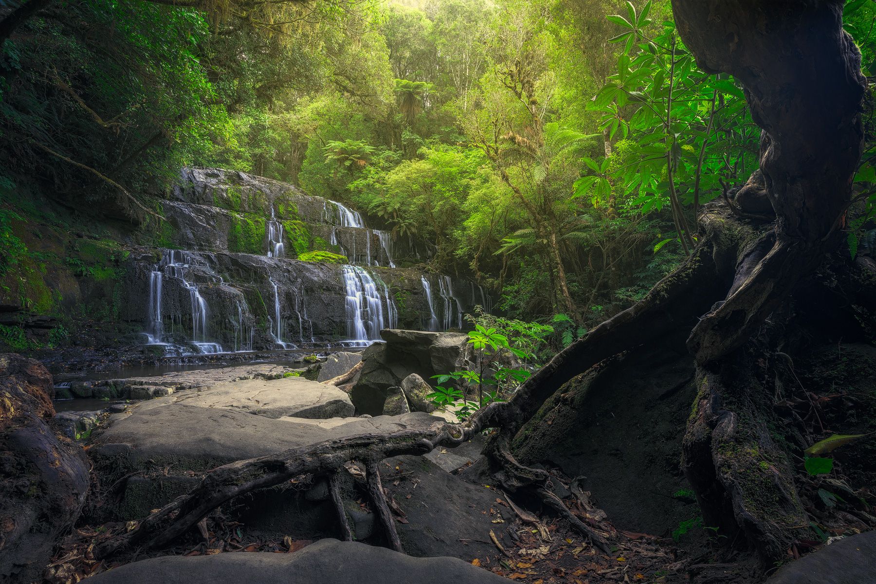 Purakaunui Falls, Southland Region, New Zealand