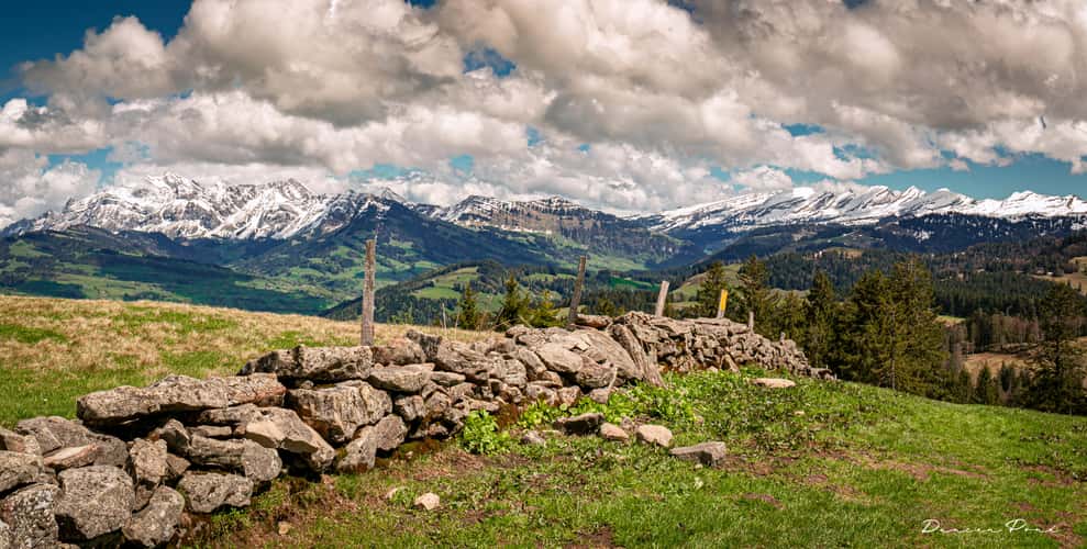 Regulastein
