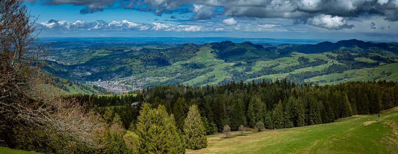 Regulastein