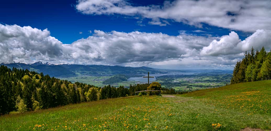 Regulastein