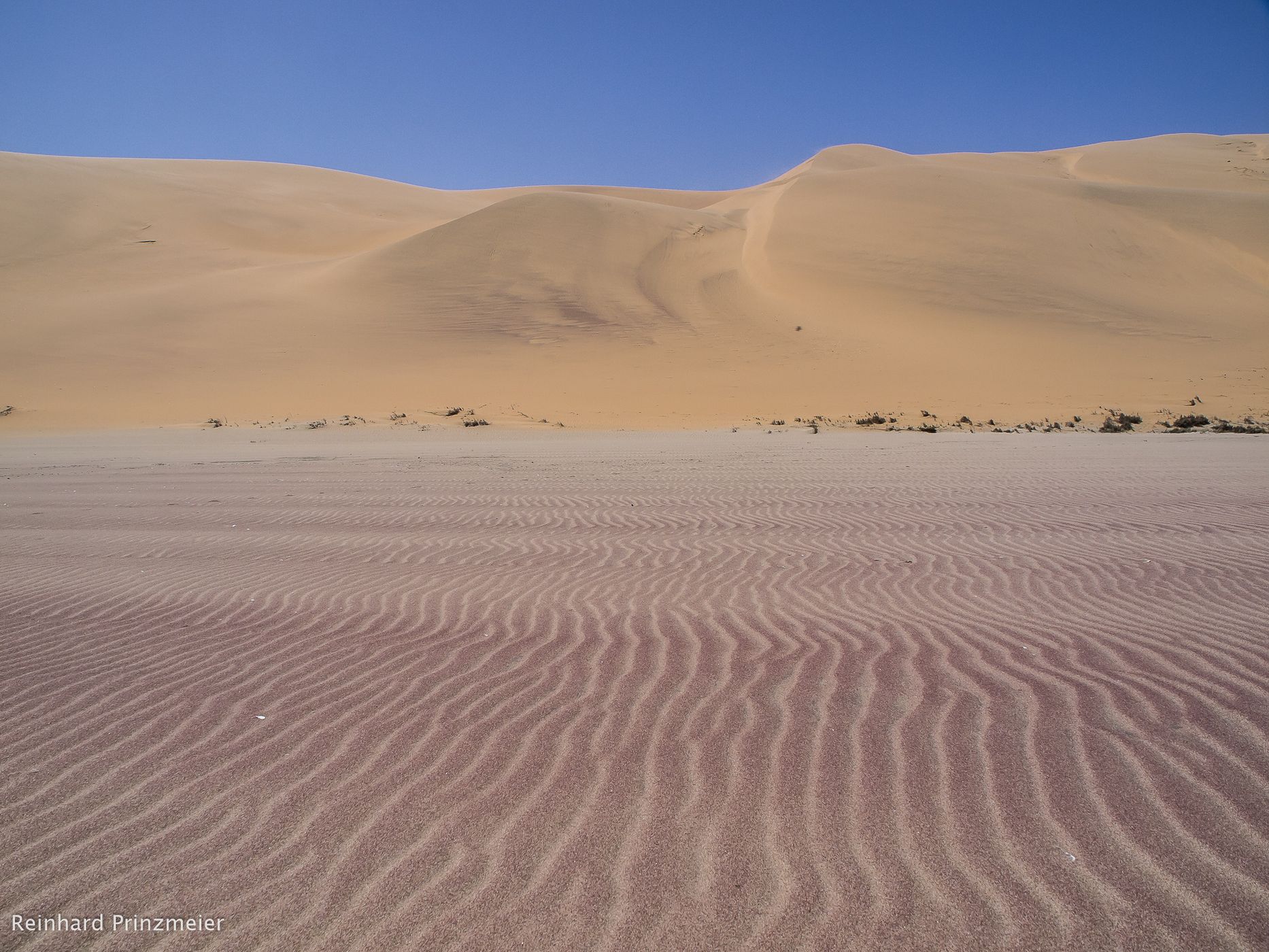 Sandwich Bay, Namibia