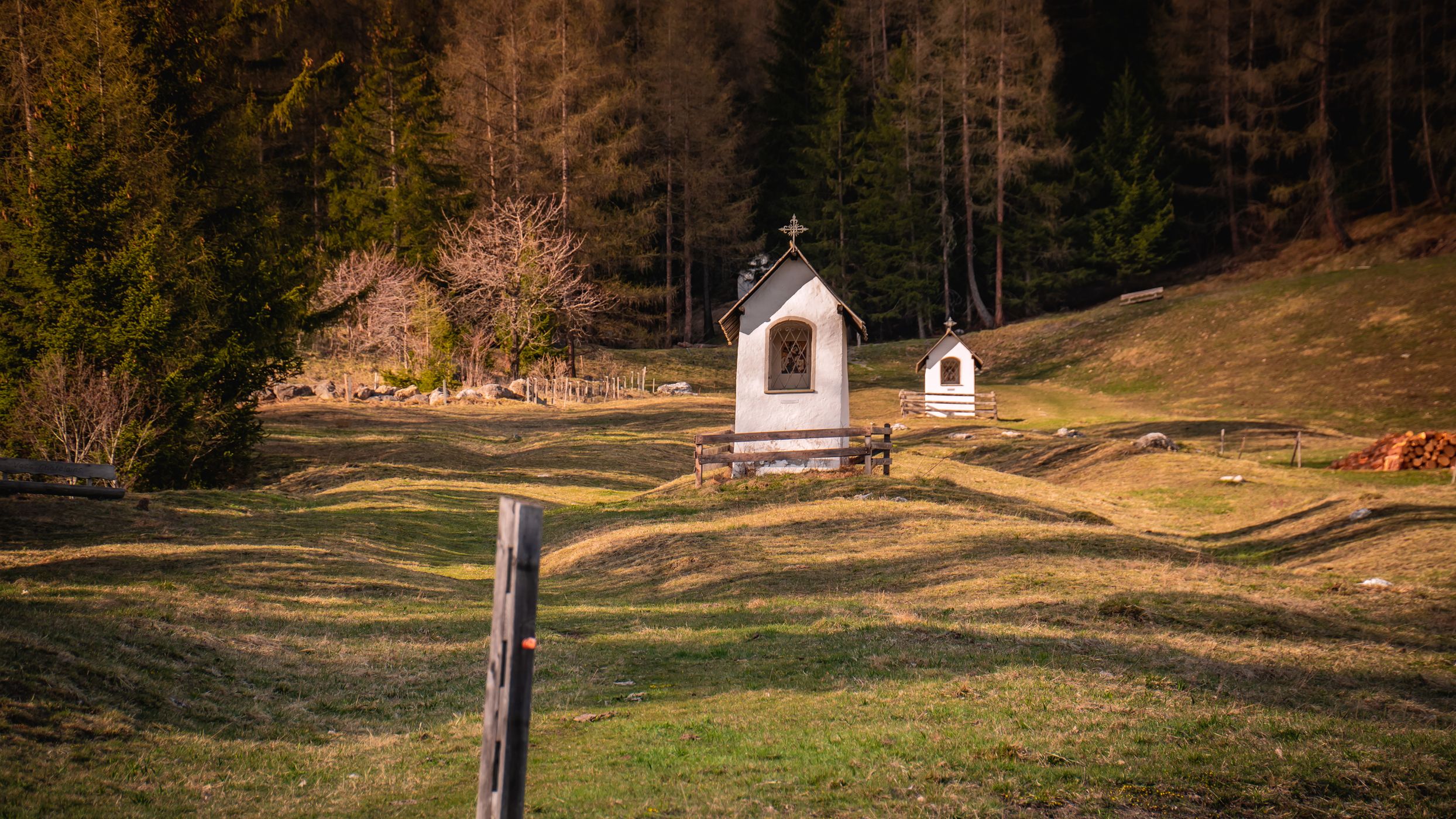 Savognin Forest Playground, Switzerland