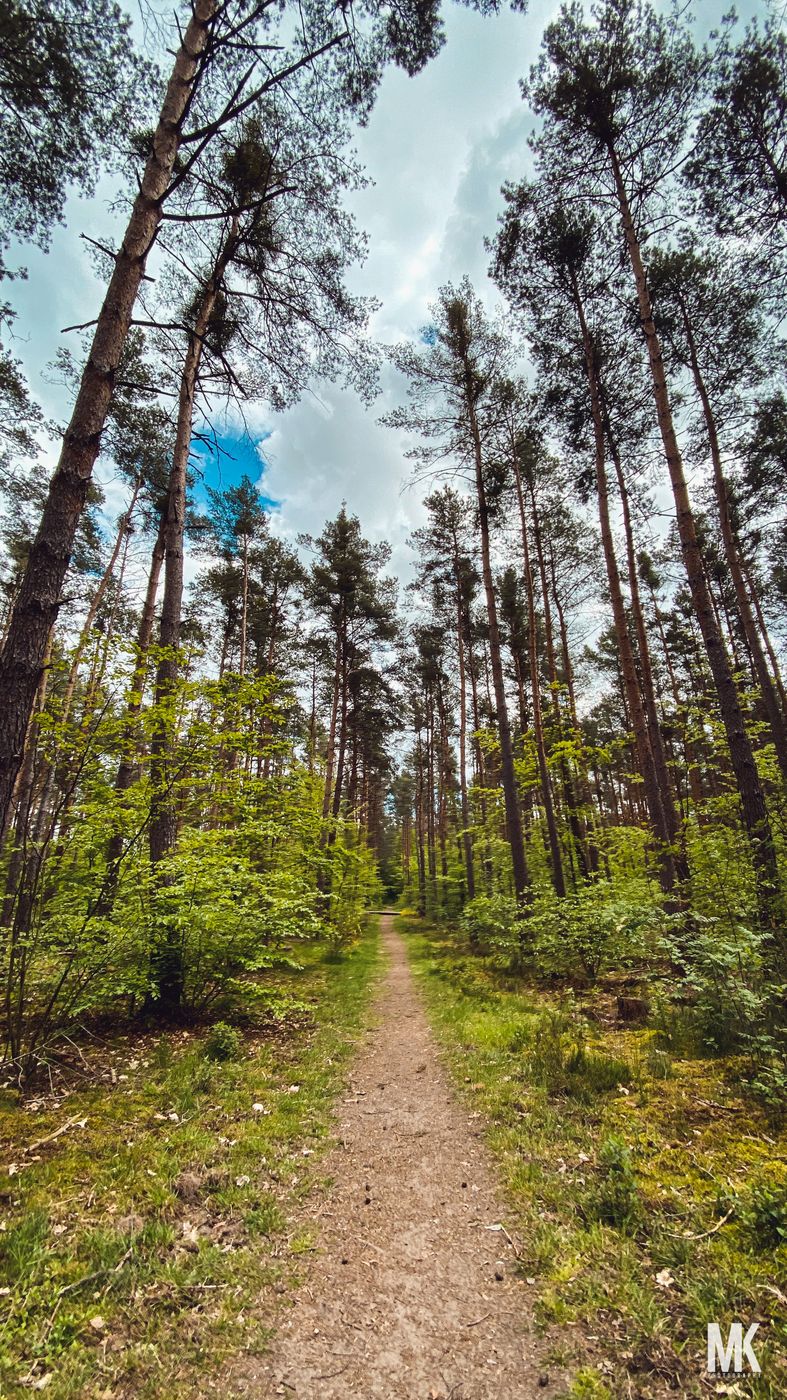 Schwetzinger Hardt, Germany