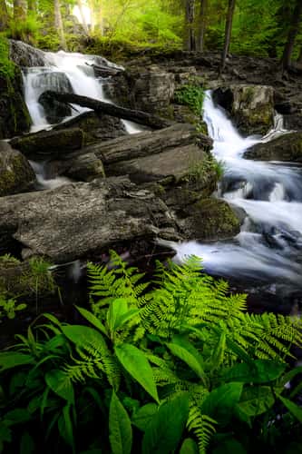 Selkefall - Saxony-Anhalt