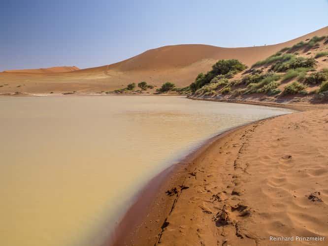 Sossusvlei