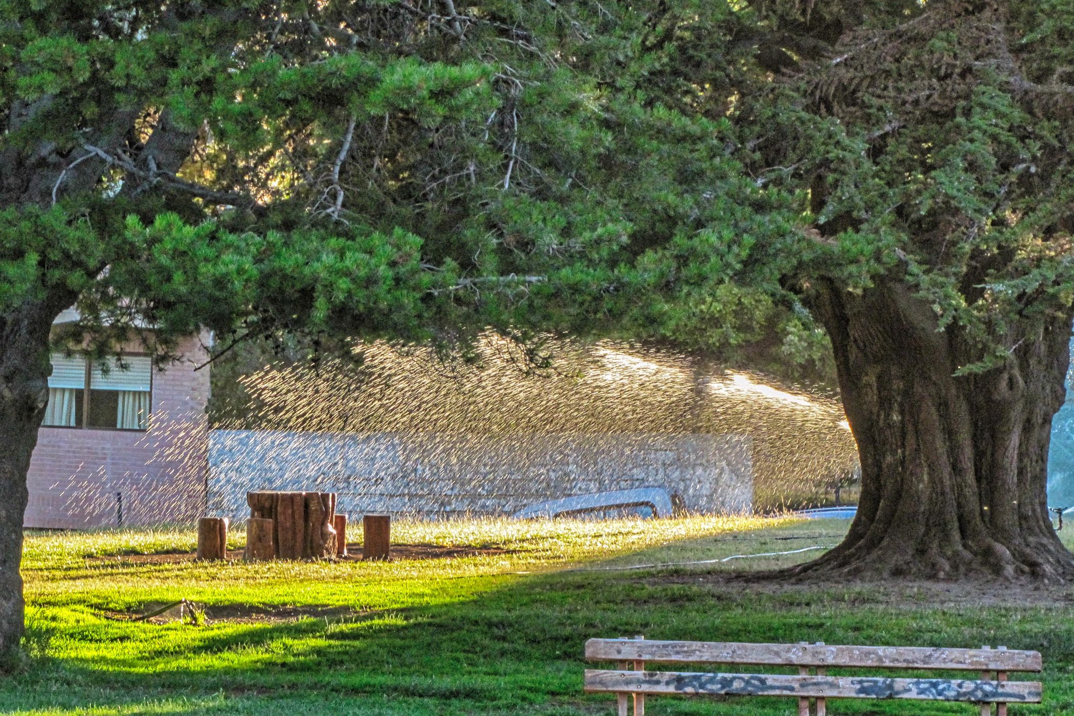 Sprinkler, San Carlos de Bariloche, Argentina, Argentina