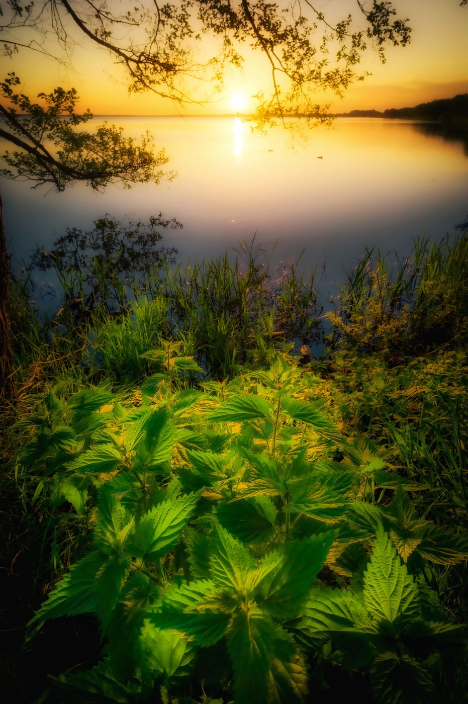 Steinhuder Meer, Germany