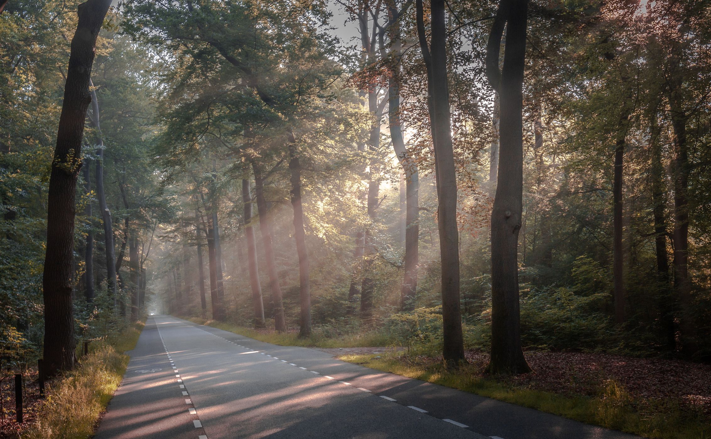 Sunrise power, Netherlands