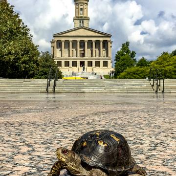 Tennessee State Capitol, USA
