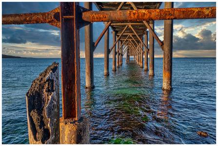 Underneath the jetty, Catherine Hill Bay, New South Wales