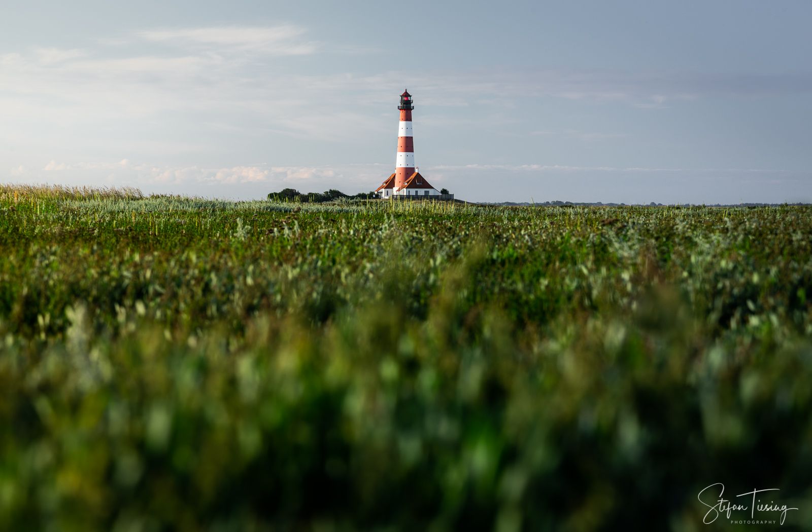 Westerhever Salt Marshes, Germany