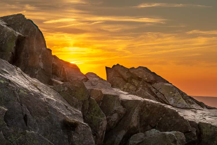 Wolfswarte Harz