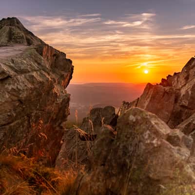 Wolfswarte Harz, Germany