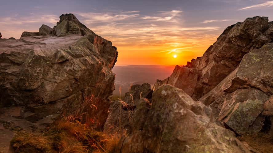 Wolfswarte Harz