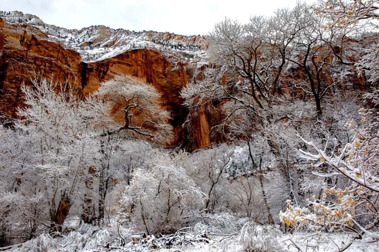 Zion Canyon