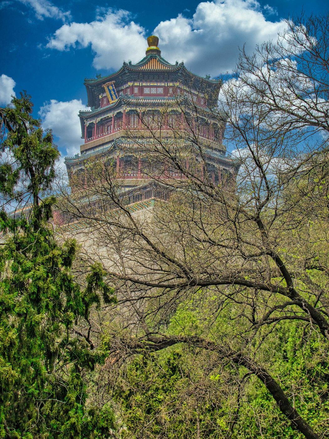 A tree view of the summer palace, beijing, China