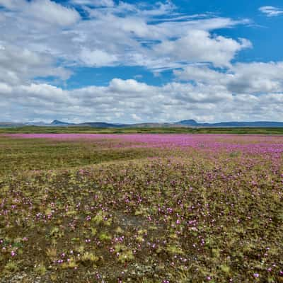 along 864 route, Iceland, Iceland