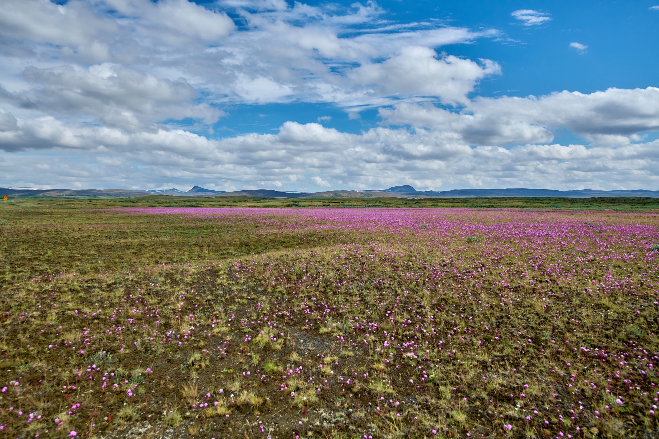along 864 route, Iceland, Iceland