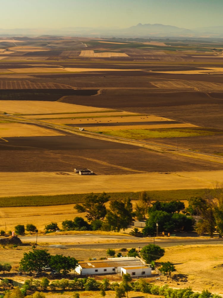 Patchwork fields, Carmona, Spain