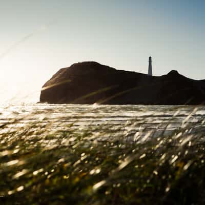 Castlepoint, New Zealand