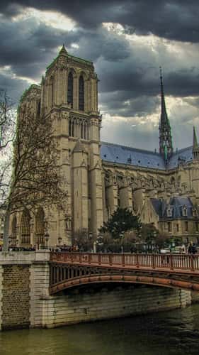 Cathédrale Notre-Dame de Paris