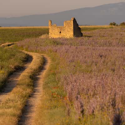 Chemin du canet, France