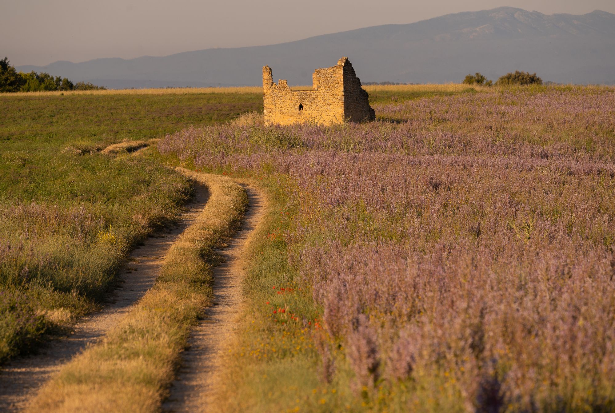 Chemin du canet, France
