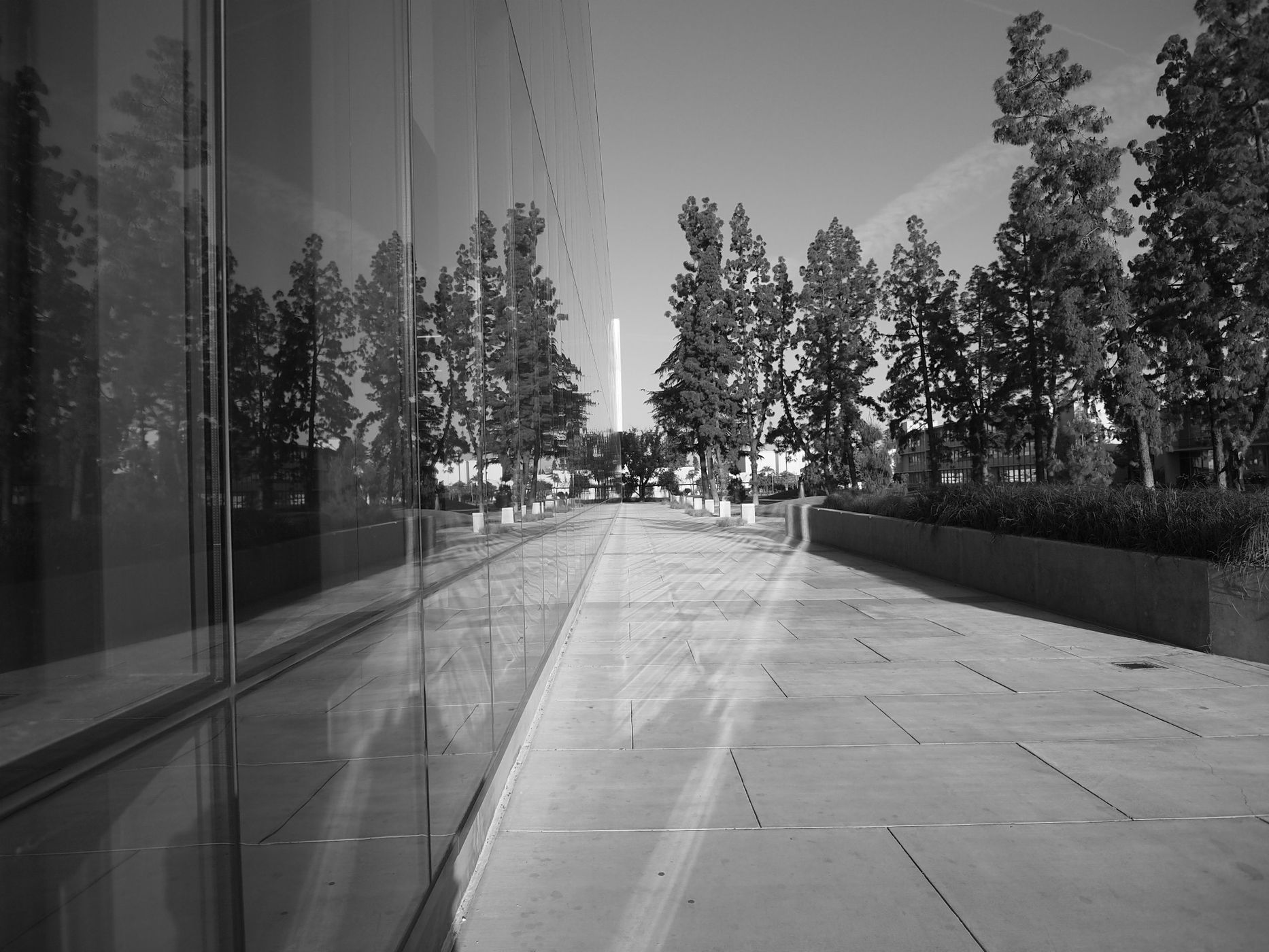 CSUF Henry Madden Library, USA