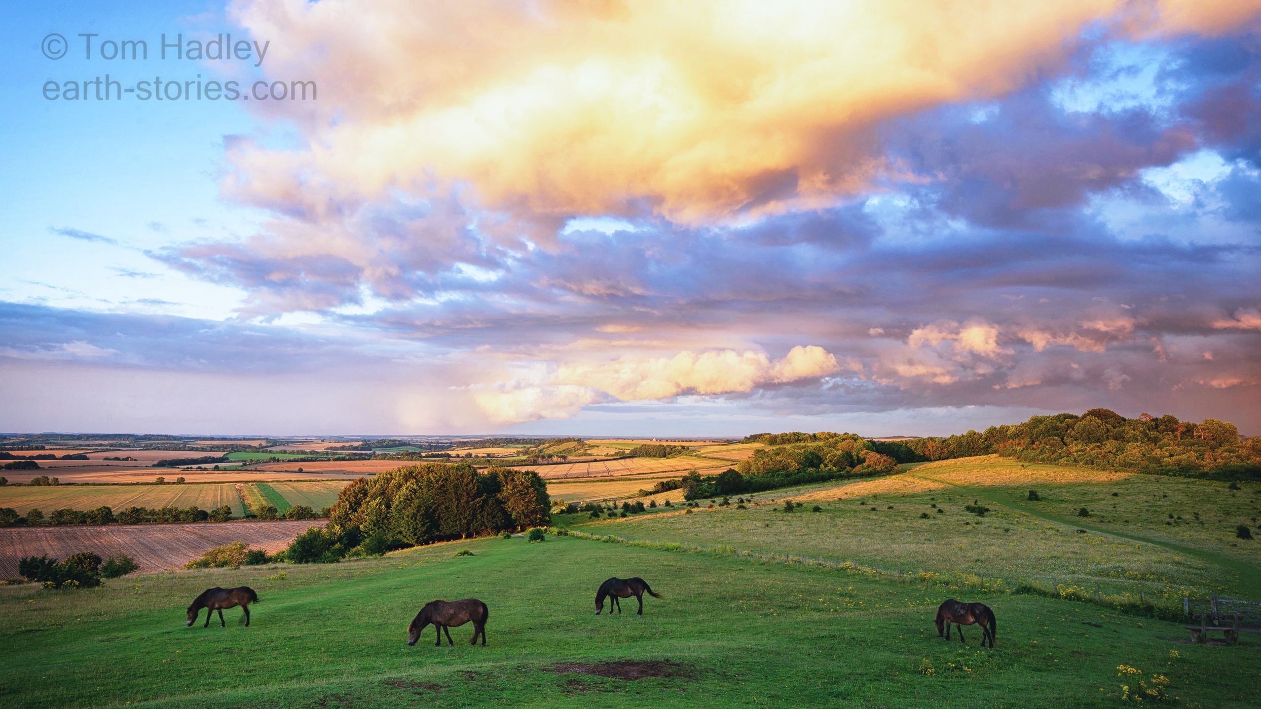 Danebury Ring, United Kingdom